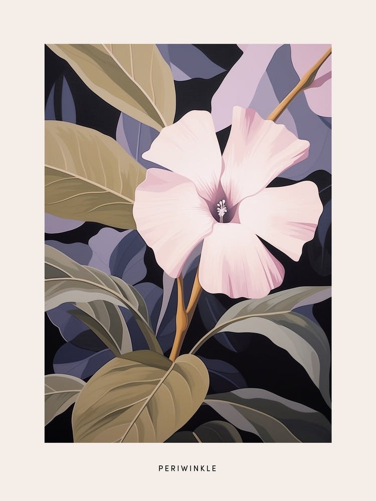 Flower Illustration Periwinkle 4 Poster