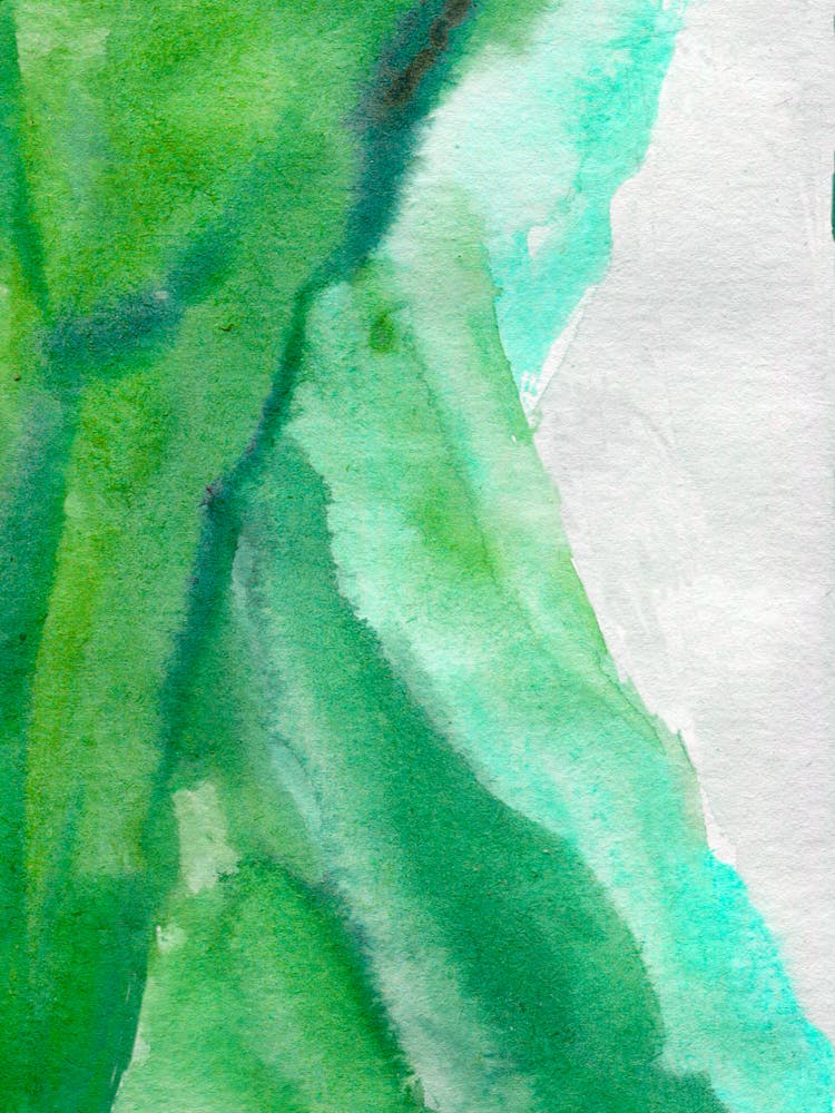 Watercolor Of A Green Leaf