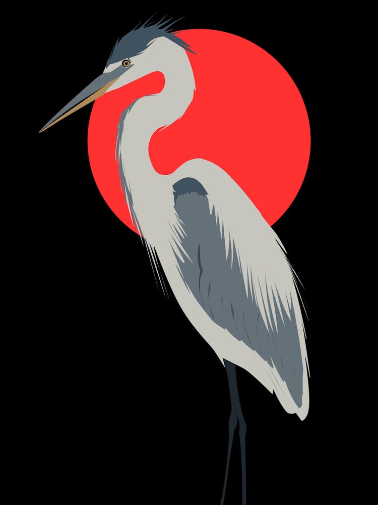Heron