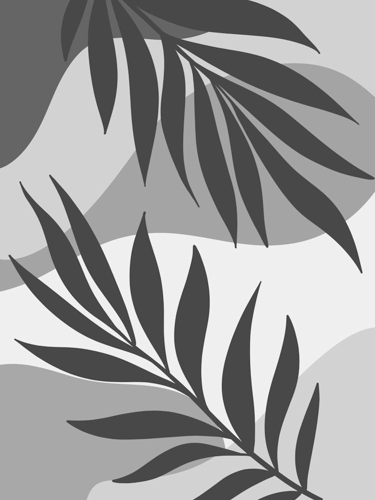 Black And White Palm Leaves