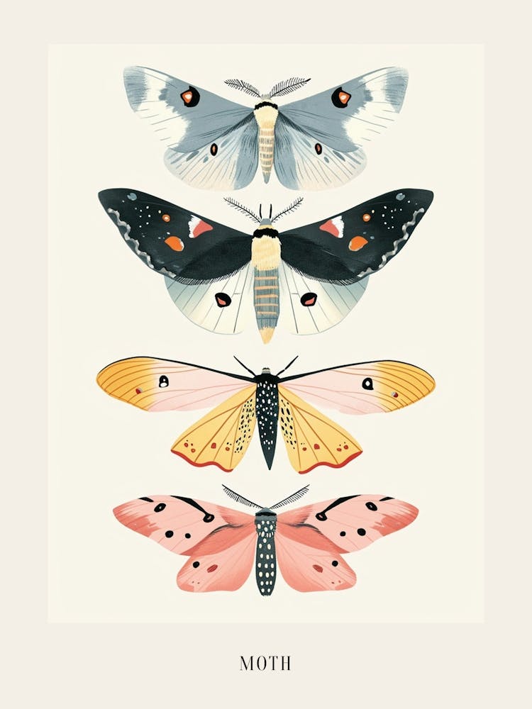 Colourful Insect Illustration Moth 28 Poster