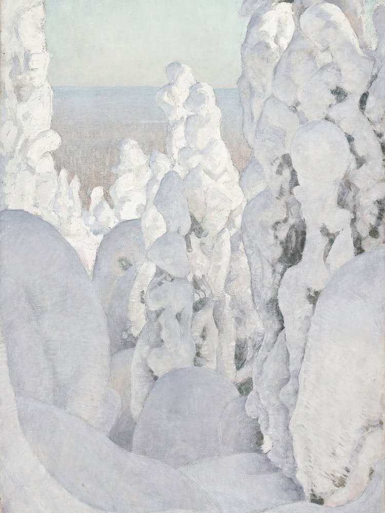 Snow Covered Trees 1