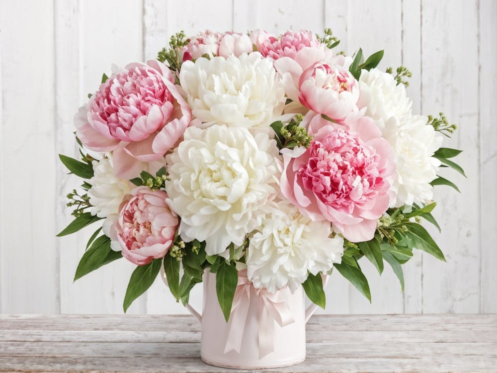 A Bouquet Of Pastel Pink And Pristine White Peonies With Hints Of Red Arranged Densely In A Natural (3)