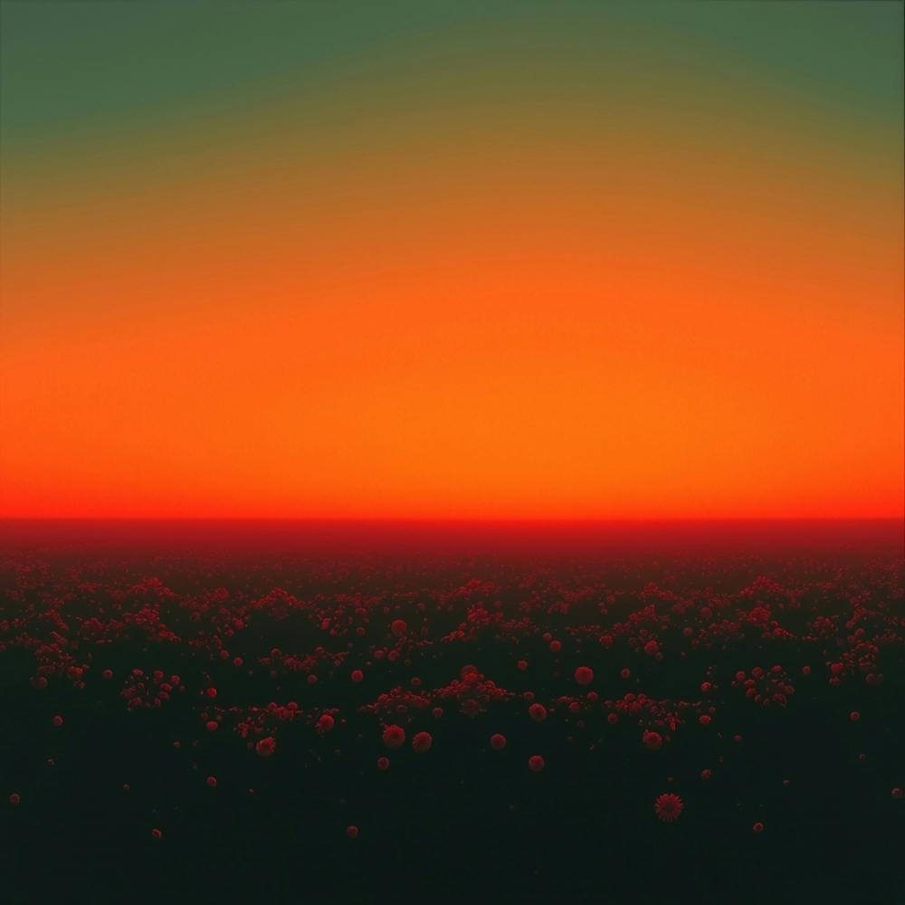 Sunset 10