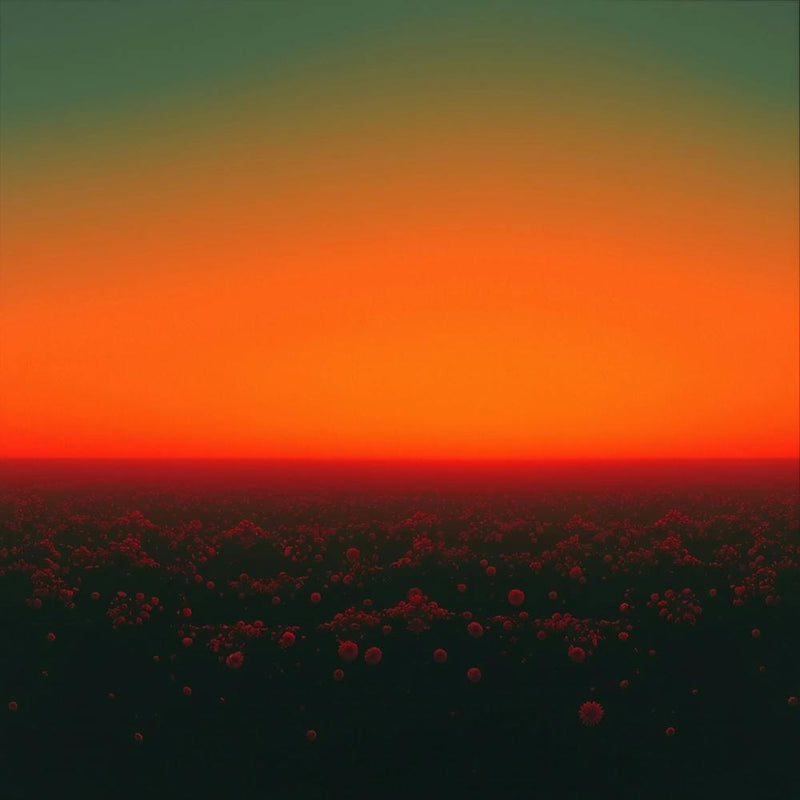 Sunset 10