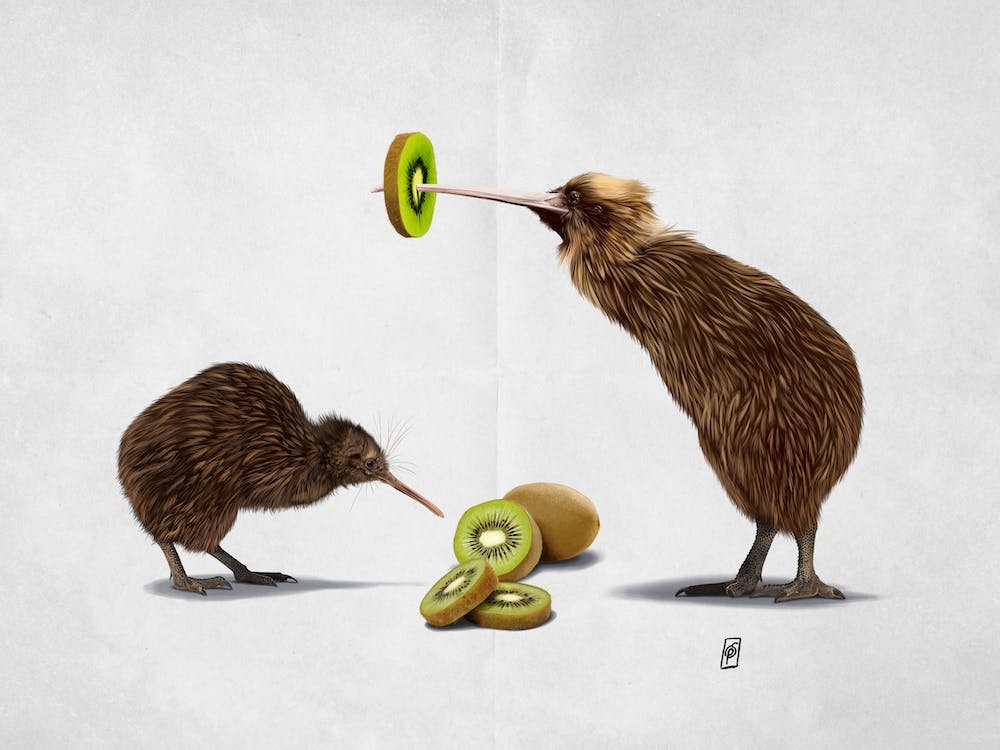 Kiwi Wordless