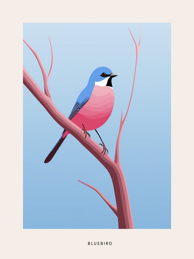 Minimalist Bluebird 1 Bird Poster
