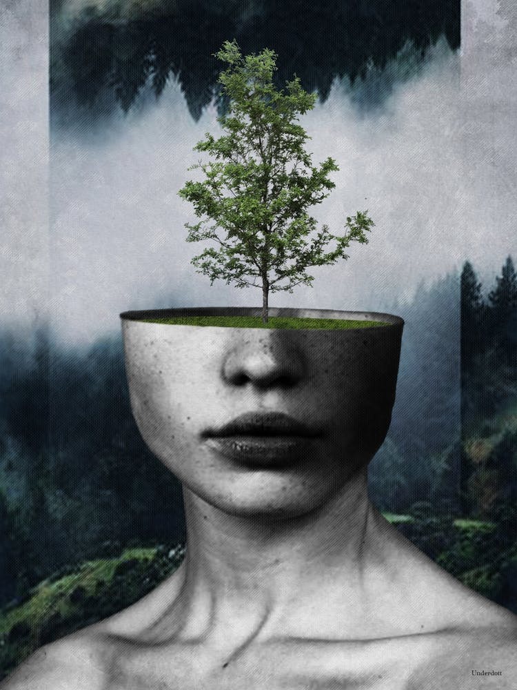 Tree Lady