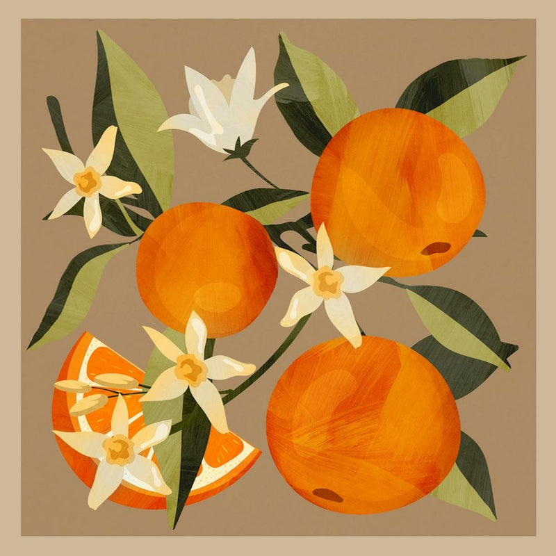 Oranges Botanical Art