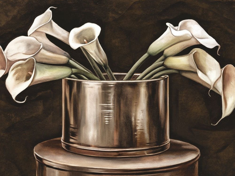 Calla Lilies 1