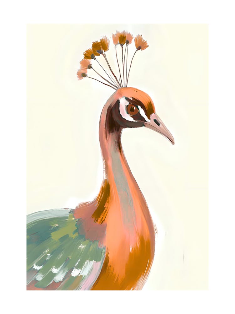 Peacock 32