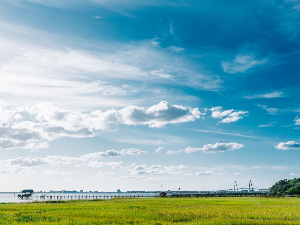 Charleston's Pitt Street Bridge II