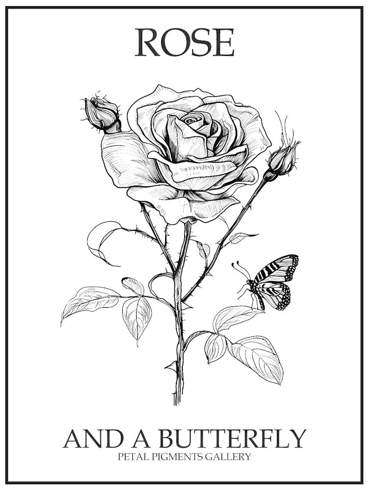Butterfly Rose Line Drawing 4 Poster