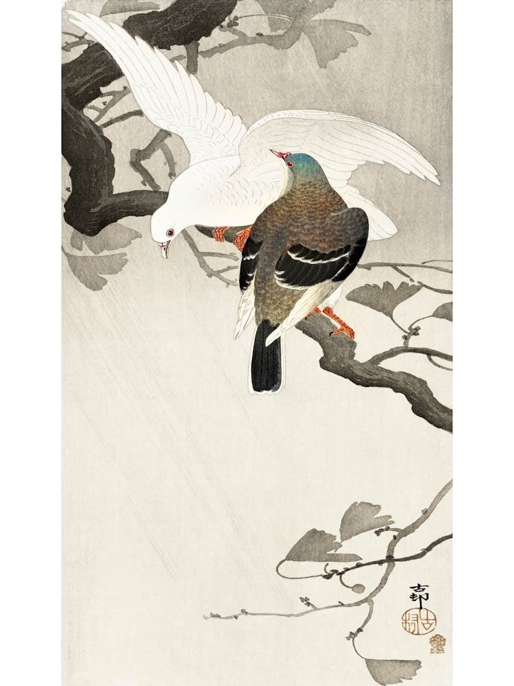 Two Pigeons On A Branch (1900 1910), Ohara Koson