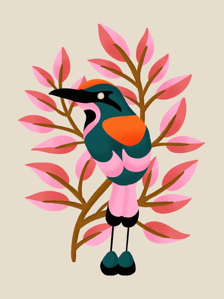 Guardabarranco Bird