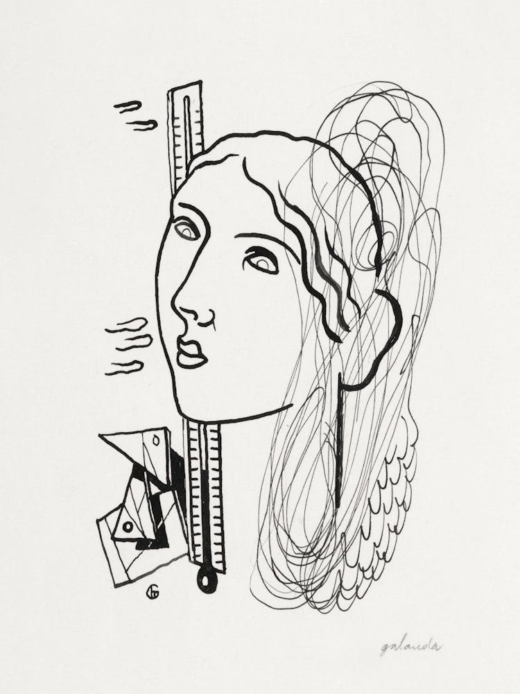 'A Woman'S Head'