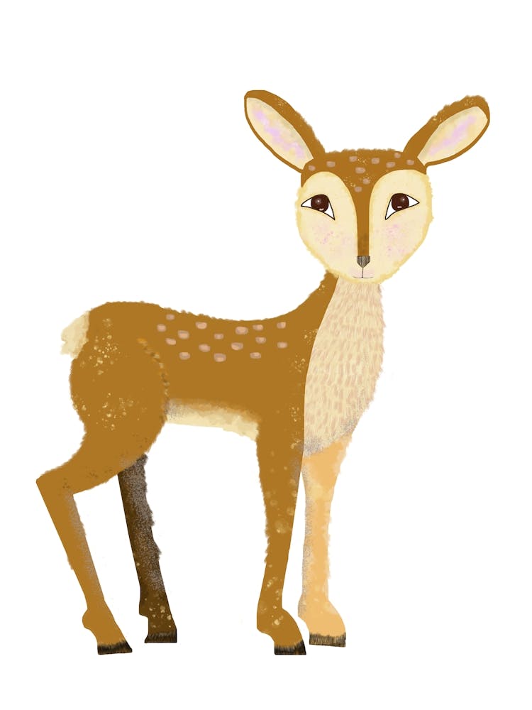 Sweet Deer 1