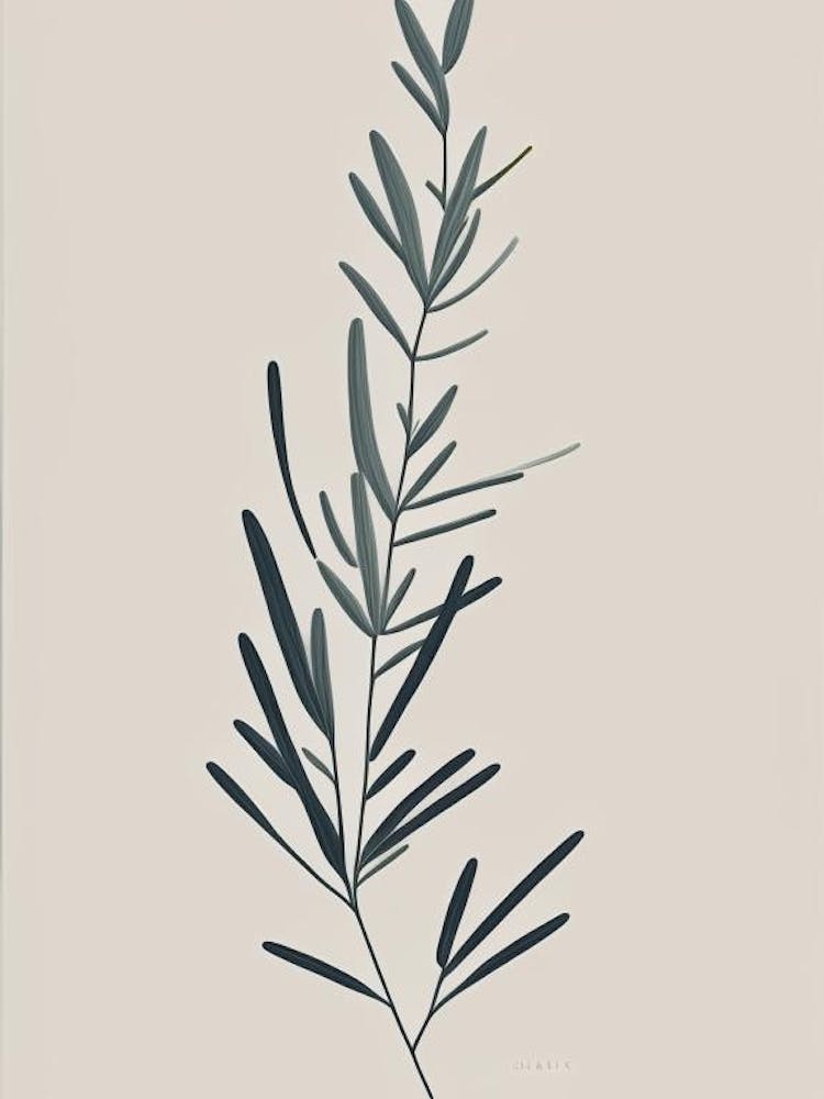 Rosemary Herb Simplicity