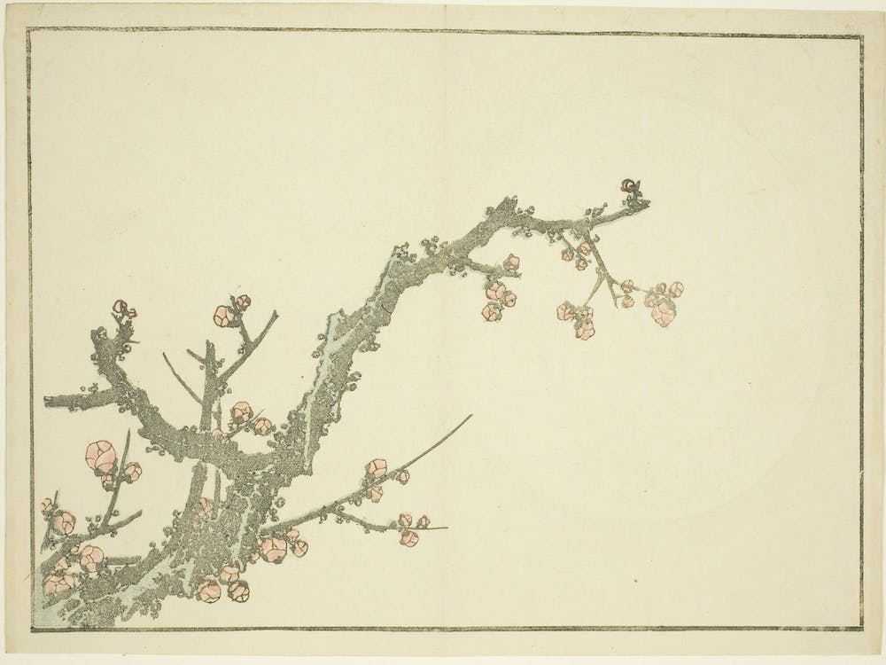 Hokusai S Blooming Plum Tree, Katsushika Hokusai