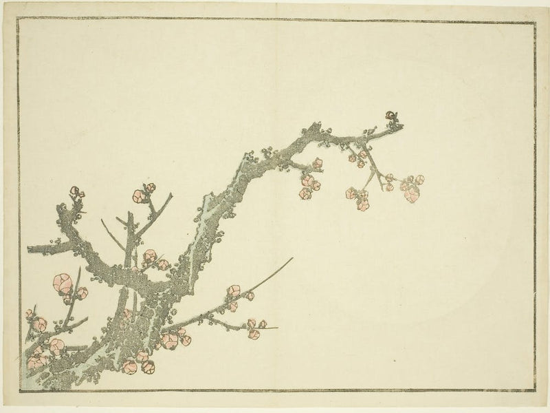 Hokusai S Blooming Plum Tree, Katsushika Hokusai