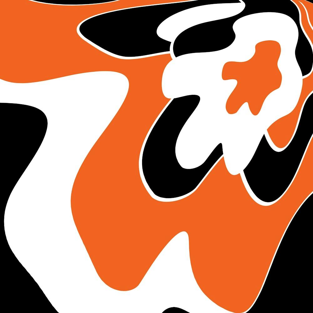 Orange And Black Tiger