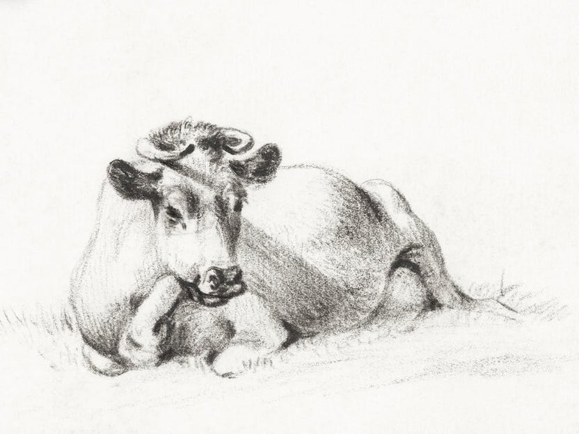 Lying Cow 1, Jean Bernard