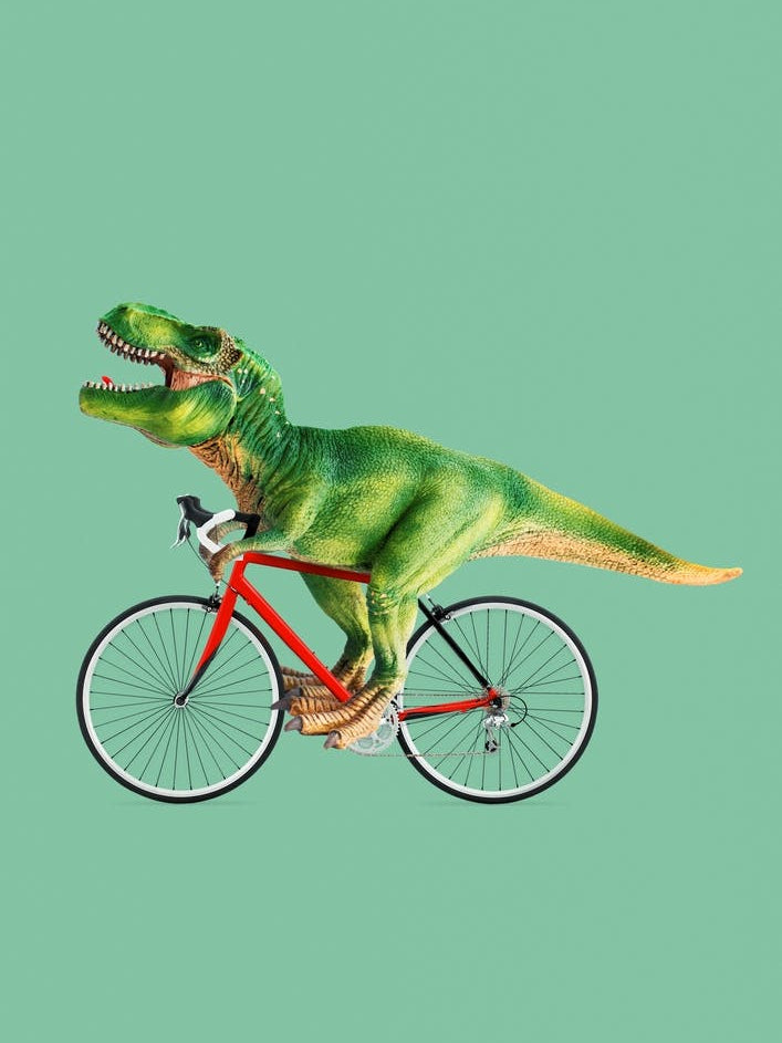 T-Rex Bike
