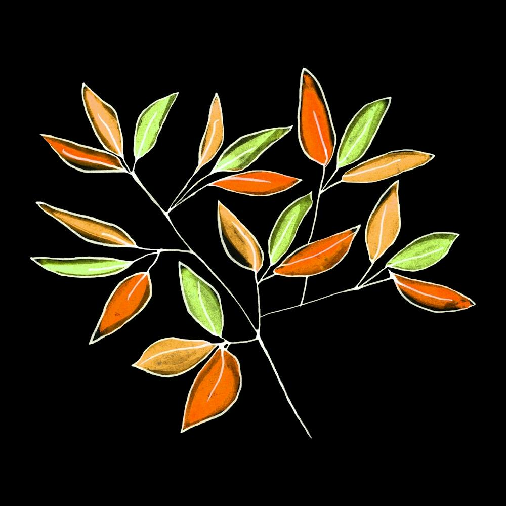 Branches Florales Orange Vert sur Noir 2