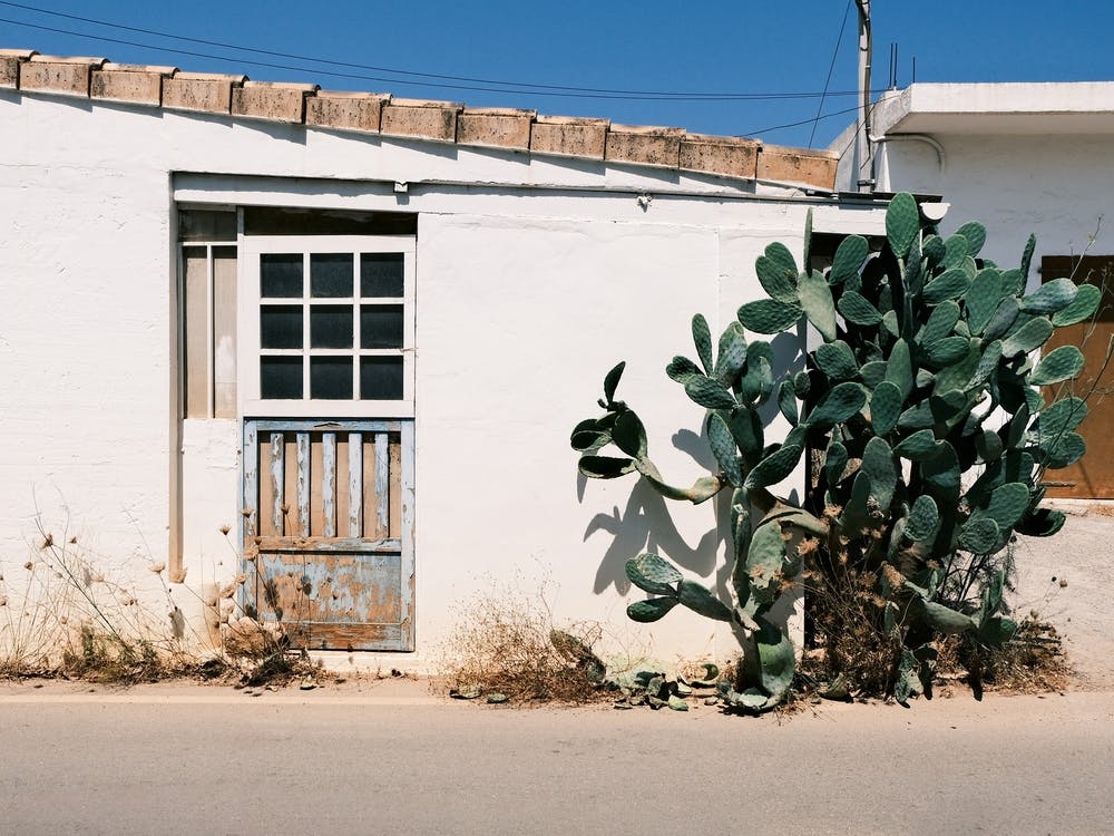 White house with Cactus // Ibiza Travel Photography Art Print by Diana Van  Neck Travel photography – Fy!