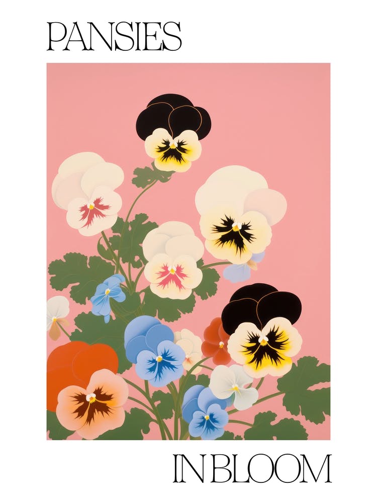 Pansies In Bloom Flowers Bold Illustration 4
