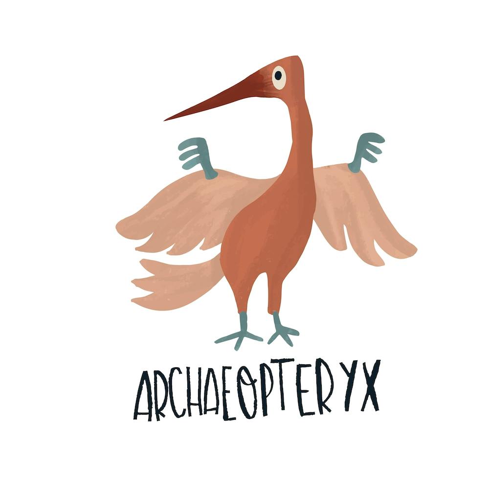 Archaeopteryx Square