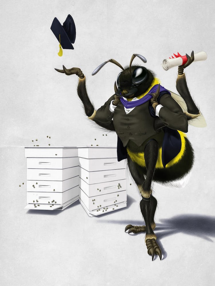 Too Bee or Not Too Bee (Wordless)