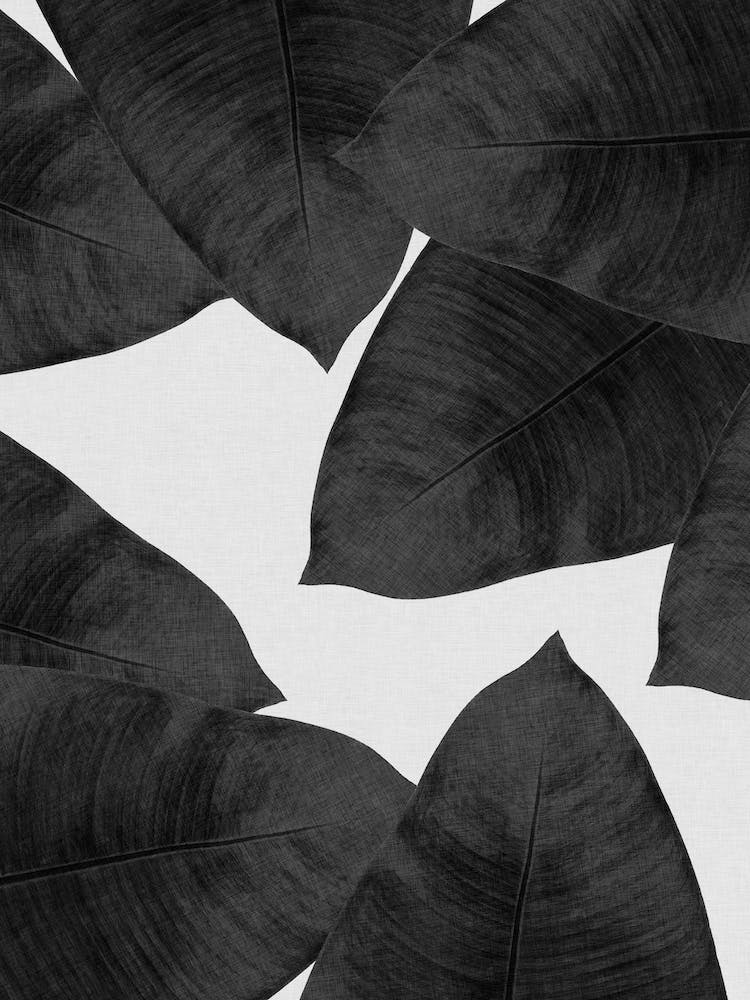 Banana Leaf Black & White I