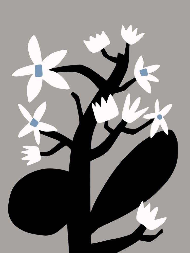 Black And White Flower