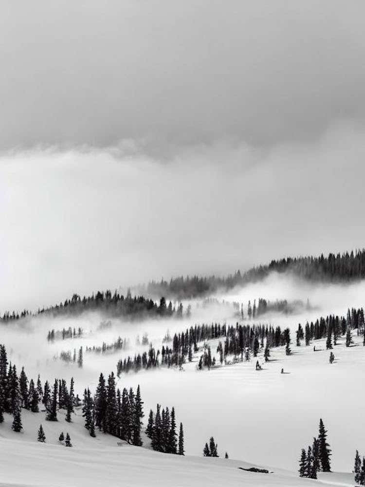 Aspen, Usa Black And White Skiing Poster