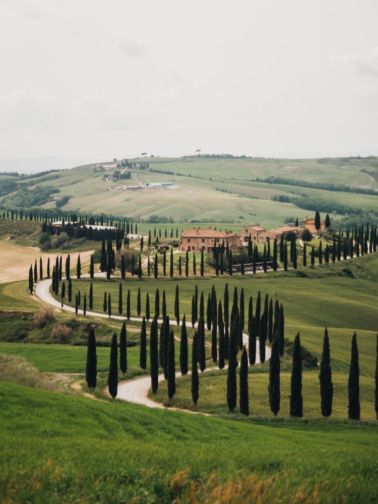 Val d'Orcia Italy | The green hills of beautiful Tuscany
