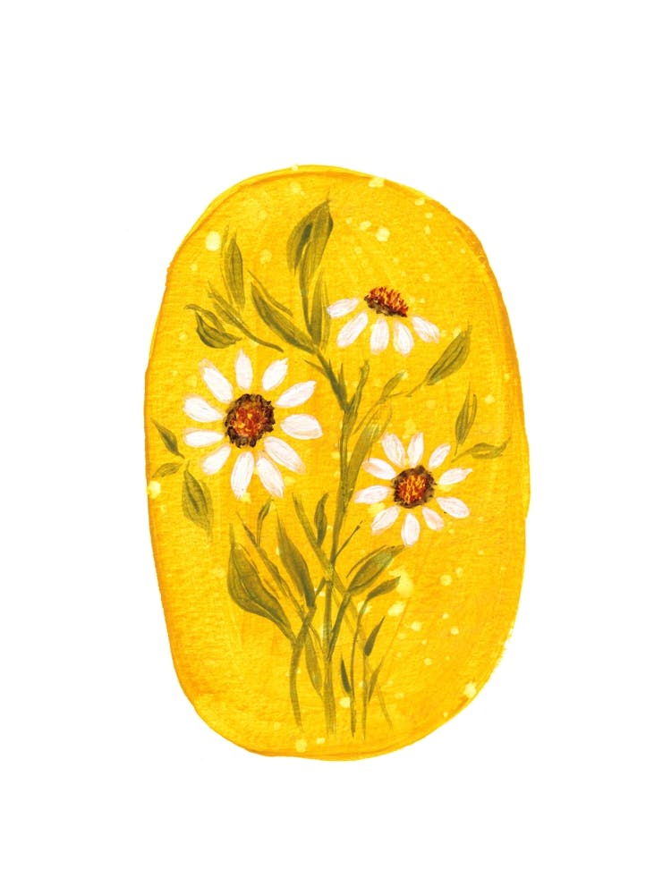 Daisies 1