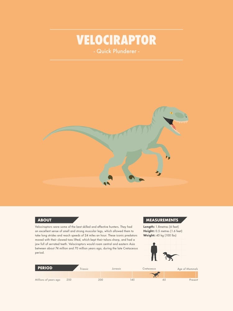 Velociraptor - Dinosaur Fact