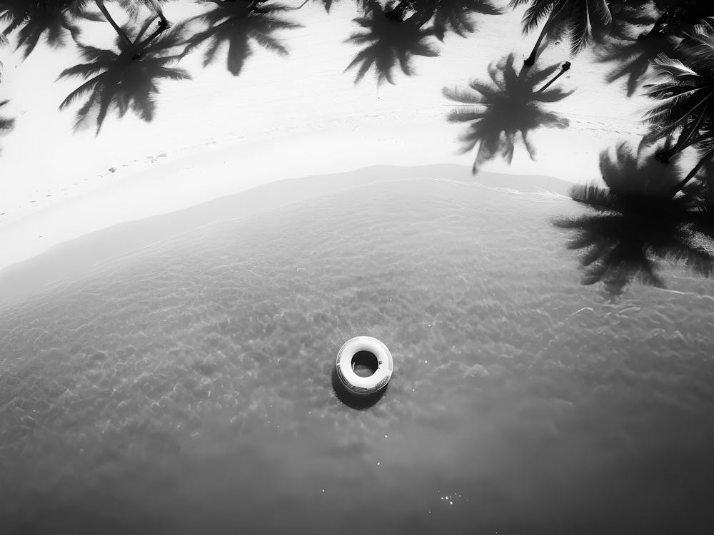 Black And White Photo 5