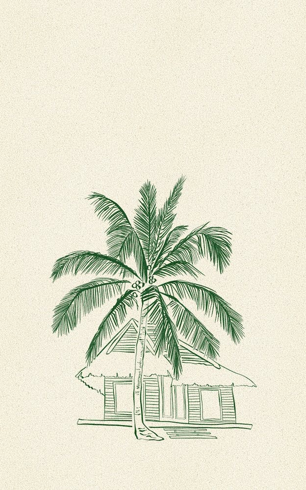 Beach House