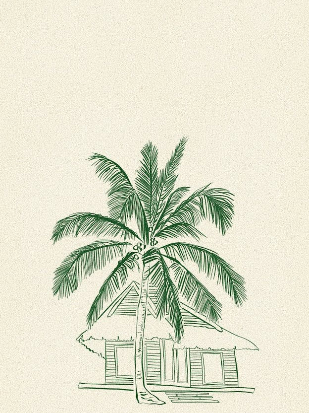 Beach House