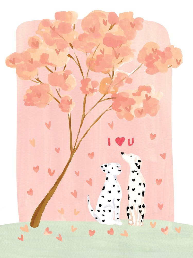Dalmatian Love