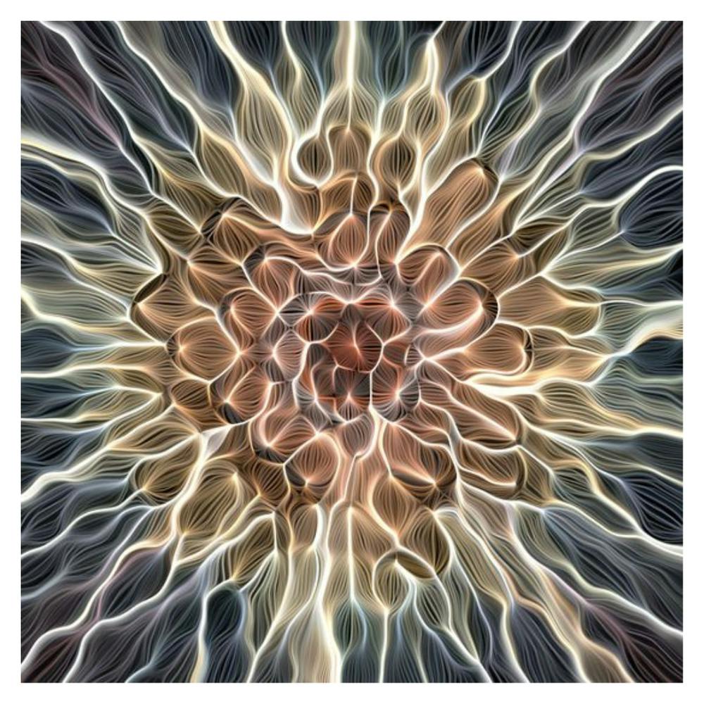 Abstract Flower