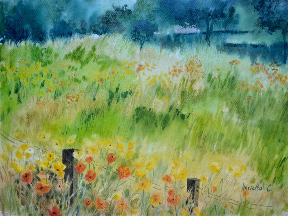 Smewere In The Valley