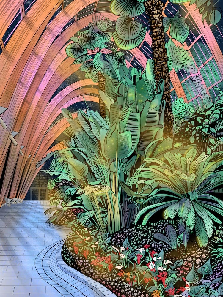 Sheffield Winter Gardens Glow