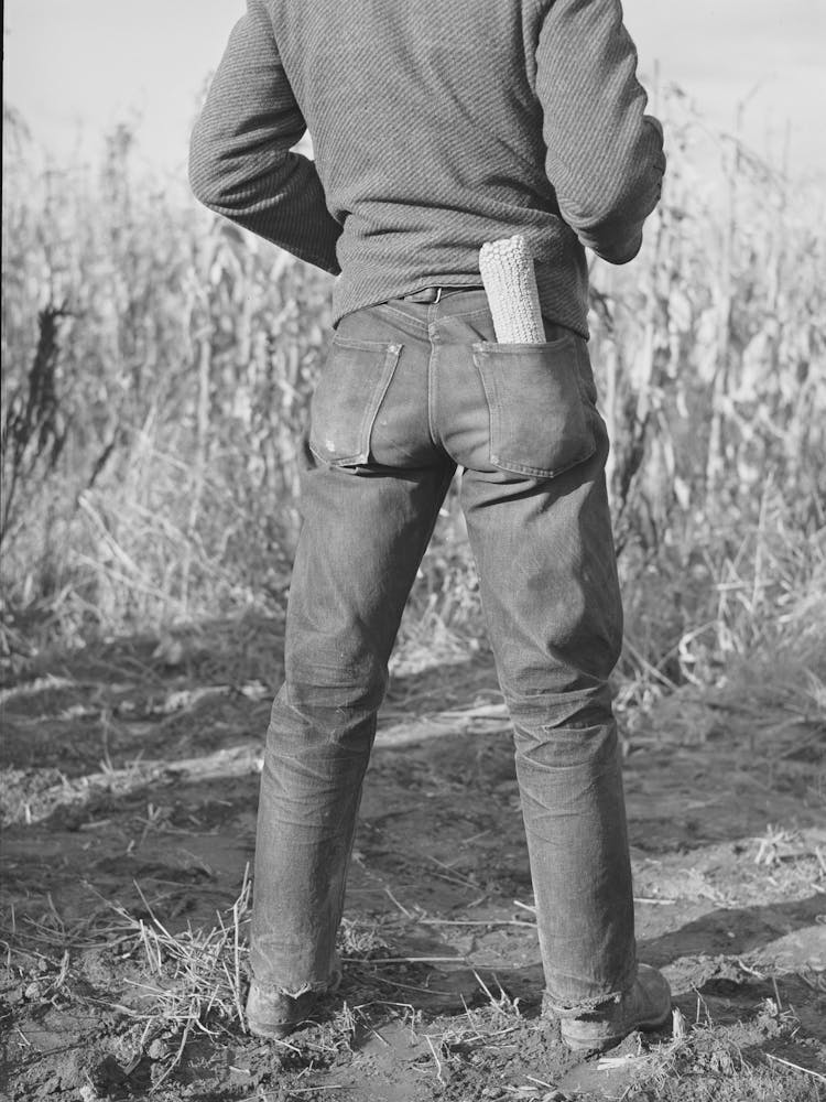 Spectators At Cornhusking Contest, Ontario, Oregon By Russell Lee