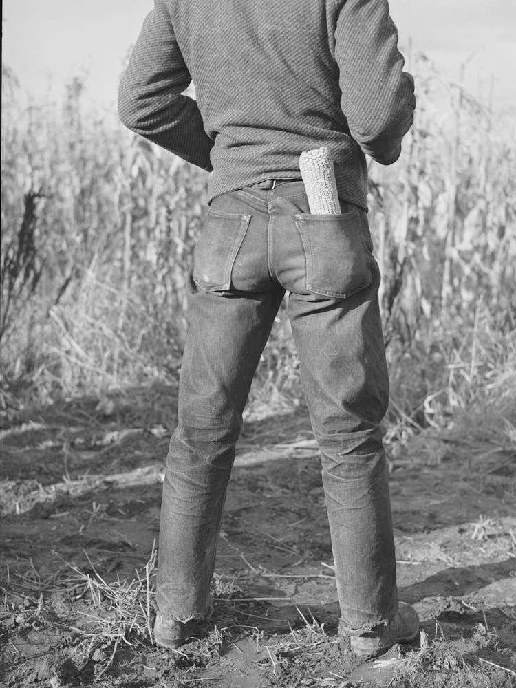 Spectators At Cornhusking Contest, Ontario, Oregon By Russell Lee
