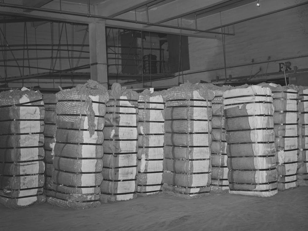 Bales Of Cotton In Warehouse, Compress, Houston, Texas By Russell Lee