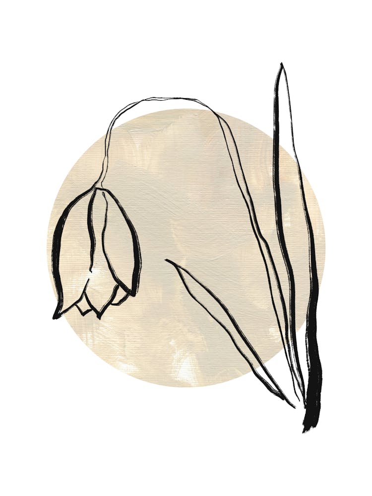 Daffodil 2