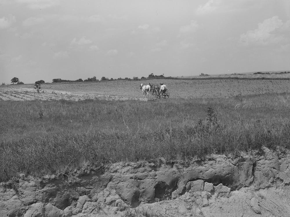 Landscape In Oklahoma Showing Man Plowing In Cotton Field In Background And Profile Of Soil Showing Easily